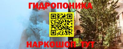 ешки Волгодонск