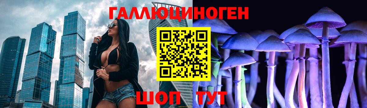Псилоцибиновые грибы MAGIC MUSHROOMS  Вход с VPN  Нерюнгри  Галлюциногенные грибы Psilocybe 
